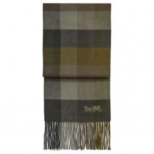 Шерстяной вязаный шарф унисекс зеленый COACH