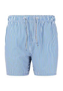 Купальные шорты Kenny с классическим полосатым узором CRUZ, цвет Print