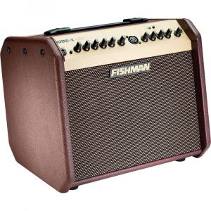 Гитарный усилитель Fishman Loudbox Mini Bluetooth 60W Acoustic Combo PRO-LBT-500