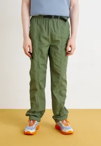 Брюки-Карго Alpha Industries, Sage Green