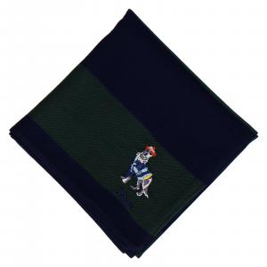 Мужской платок POLO RALPH LAUREN, окрашенный пряжей.