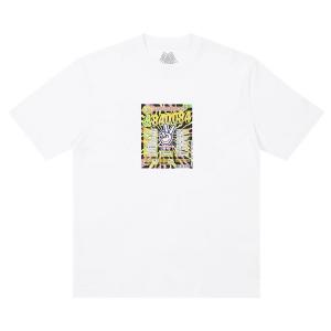 Футболка Palace Scratchy T-Shirt 'White', белый