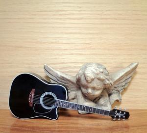 Акустическая гитара Takamine TP0950 - Creme with Black Dot Insert