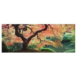 Картина Bilderwelten Japanischer Garten II, 80x30x0,4 см, разноцветный