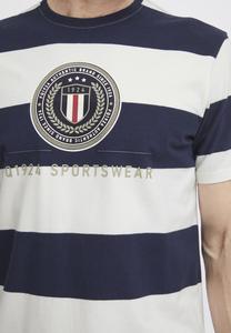 Принт на футболке FQ1924, белый Tom Stripe