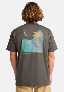 Футболка Billabong SUNDOWN, Rav/Black