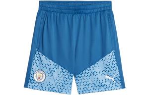 Футбольные шорты мужские Lake Blue Puma, цвет Lake Blue