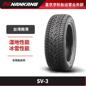 Зимние шины NANKANG SV-3, 2024, 245/45R17, 99Q NNANKANG