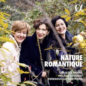 CD диск Reinecke / Schubert / Couvert: Nature Romantique