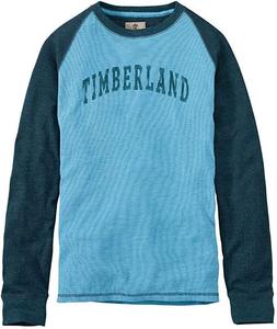 Timberland мужская футболка Dyer River с логотипом, Blue