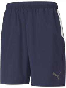 Puma Спортивные штаны «TeamLIGA Sideline Shorts» синего цвета