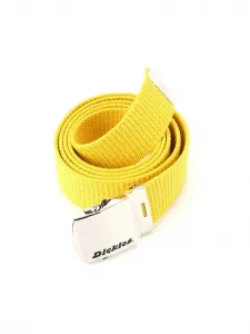 Ремень DICKIES/(M)GI