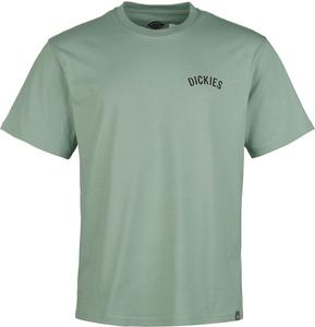 Футболка Dickies DICKIES SNAKE TEE, зеленый