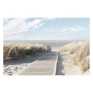 Картина Reinders Weg durch die Dünen, синий