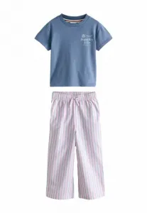 Брюки в полоску Superdry & Co, Pink Blue