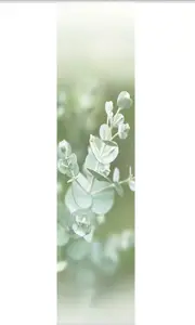 Раздвижная штора с имитацией бамбука, цифровая печать, эвкалиптовый зеленый, можно укоротить до 60х260 см. Vision S