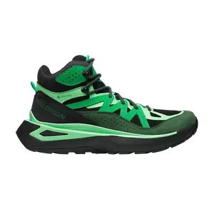 Кроссовки Odyssey ELMT Mid GORE-TEX Salomon, зеленый