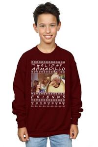 Толстовка Fair Isle Holiday Armadillo Friends, красный