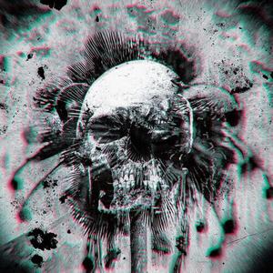 Сингл 7" Tropical Gothclub: Wheels Within Wheels / Street Level