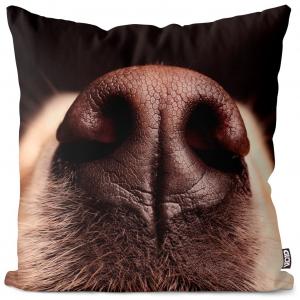 VOID Чехол для подушки с изображением морды золотистого ретривера, полиэстер, водонепроницаемая подушка для улицы и дома. Размер: 60 x 60 см.