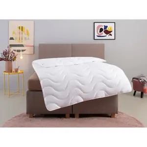 Мое домашнее микрофибровое одеяло Mailo Bettdecke 135x200 см, 155x220 см теплое наполнение полиэстер, 1 шт., лето, зима, одеяло, мягкий микрофибровый тонкий батистовый чехол My Home, белый