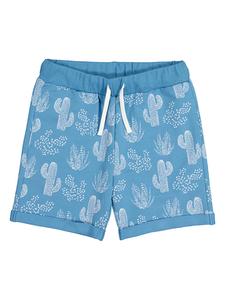 Синие спортивные шорты lamino