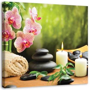 Фрески Feeby Orchidee Blume Zen Spa Kerzen, зеленый