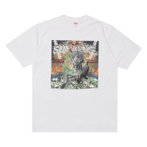 Футболка Supreme Dragon Tee 'White', белый