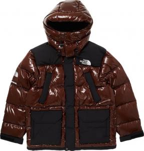 Парка Supreme x The North Face 700-Fill Down Parka 'Brown', коричневый