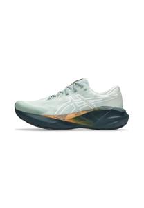 Кроссовки ASICS NOVABLAST 5 TR, Nature Bathing Lichen Rock/Light Green