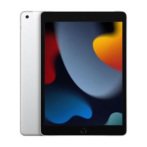 Планшет Apple iPad (2021), 256 ГБ, Wi-Fi + Cellular, Silver