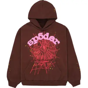 Худи Sp5der Web Hoodie 'Brown', коричневый