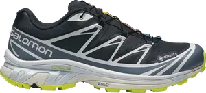 Кроссовки XT-6 GORE-TEX Night Sky Acid Lime, синий