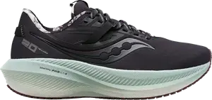 Кроссовки Saucony Wmns Triumph 20 Runshield Winter Miles Pack, черный