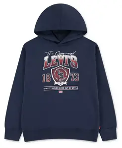 Мальчики 8-20 стадионный пуловер с капюшоном Levi'S, синий