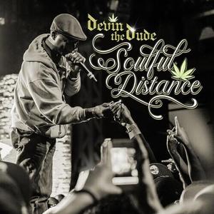 Виниловая пластинка Devin The Dude - Soulful Distance