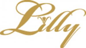 Schlafmond Одеяло-подтяжка-Свет "Лилли" 155/200