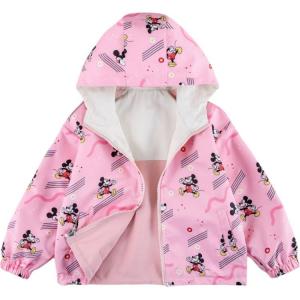 Весенне-осенняя мода повседневный мультяшный реверсивный худи Disney, розовый