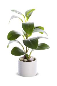 Искусственное растение в горшке Inne, зеленый