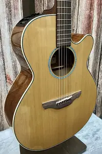 Takamine TSF40C NEX с мягким чехлом