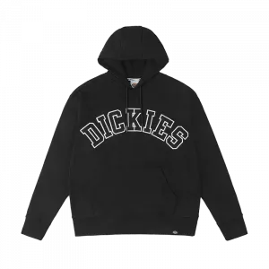 Унисекс худи Dickies, бирюзовый