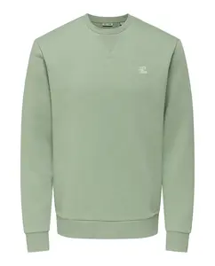 Мужская толстовка обычного кроя Only & Sons, светло-зеленый