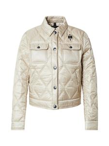 Межсезонная куртка Blauer.USA DELHI, серый