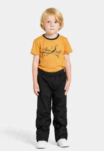 Брюки для активного отдыха avan Didriksons, Black