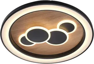 Потолочный светильник Paul Neuhaus "ELIZA" Ø 60 см, цвет Holz-natur