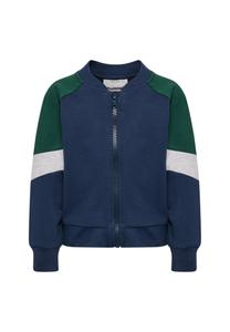 Толстовка Hummel LOOSE BLOCK ZIP, Dress Blues/Blue