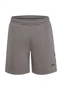 Спортивные штаны hmlkeeper с шевроном Hummel, Charcoal Gray