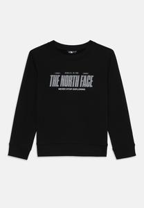 Толстовка The North Face REFLECTIVE LOGO RELAXED UNISEX, Black