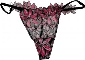 Victoria's Secret Ziggy Glam V-стринги с цветочной вышивкой, цвет Pink New, Pink Floral
