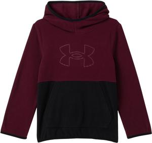 Толстовка CB Hundo Under Armour Kids, Dark Maroon